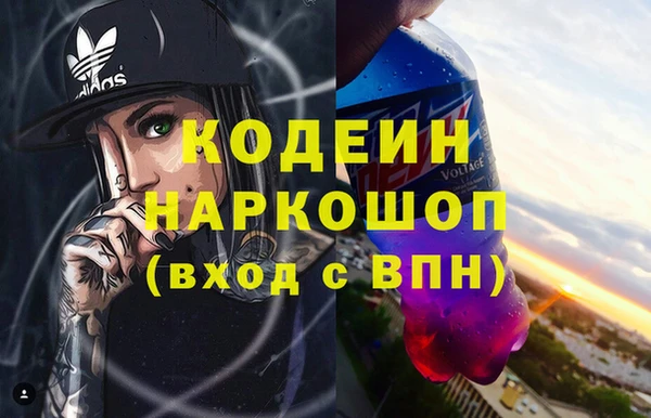 стафф Ельня