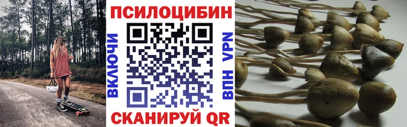 Галлюциногенные грибы Magic Shrooms  купить наркотики сайты  МЕГА tor  Чистополь 