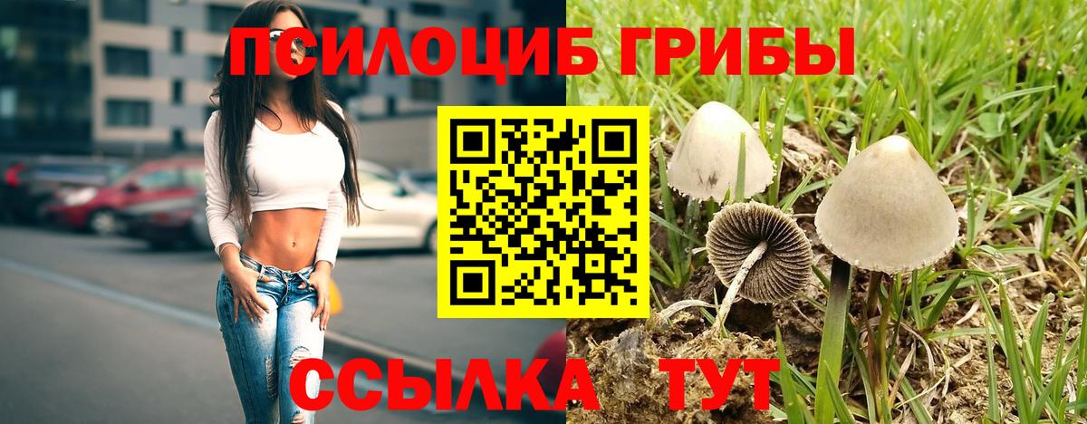 Псилоцибиновые грибы прущие грибы  Вход с VPN  Чистополь 